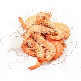 Langostino Cocido Fresco