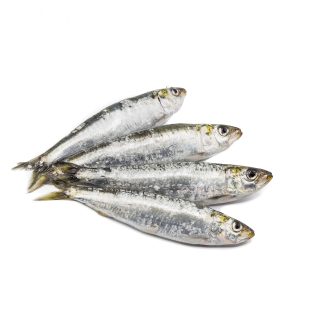 Sardinas